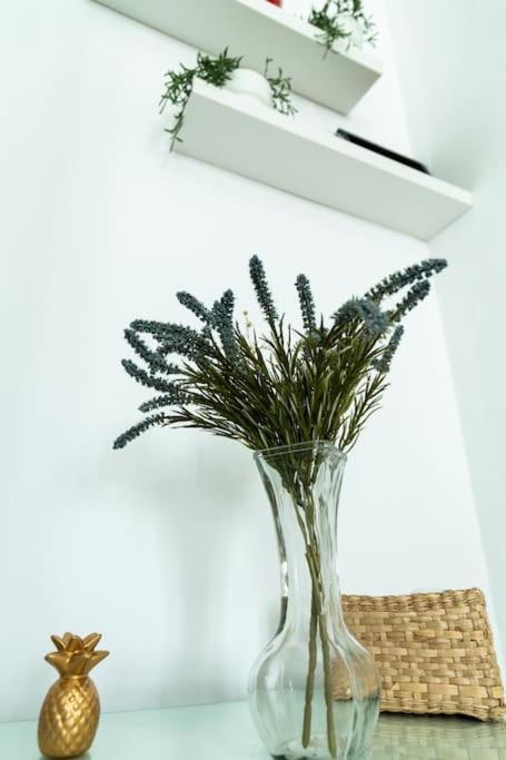 Libertad By Gades Gestion Apartment Cadiz Exterior photo